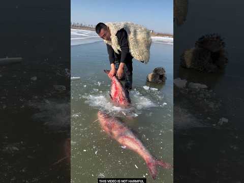 Helping Fish🧑‍🌾| New Viral Gadgets, Smart Appliances, Kitchen Utensils/ Home Inventions