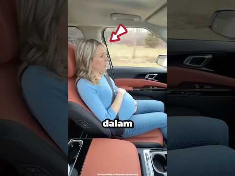 #alizasehar