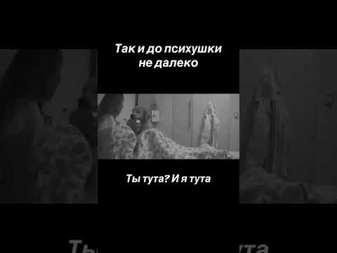 Ночной жрун, с просторов интернета #рек #funny #смешно#смешныесобачки