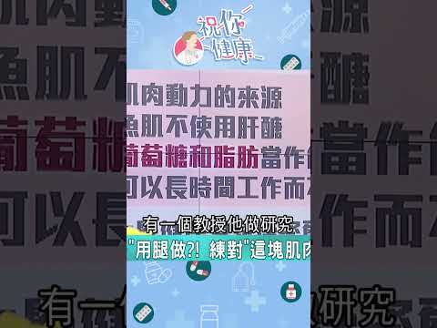 瘦身效果：比節食更強！上班族、銀髮族激推「１運動」坐著練＂更猛＂專家分析：人體「1肌肉」坐著高效燃脂！｜祝你健康