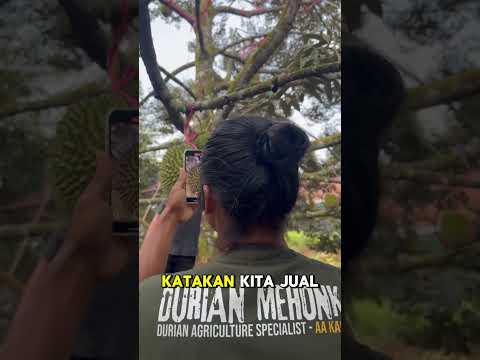 RUMAH IDAMAN PECINTA DURIAN
