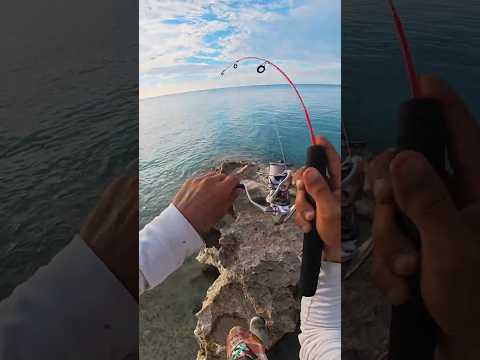 🔥 The Wildest Fishing Cast You’ll Ever See!
