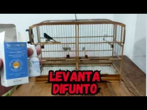 SUPLEMENTO LEVANTA DIFUNTO TARGIMAX 10 COLEIRO PAPACAPIM