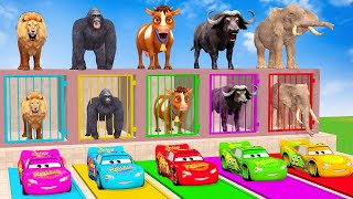 Long Slide Game With Cow Elephant Gorilla Hippopotamus Tiger - 3d Animal Game - Funny 3d Animals