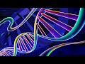 DNA Ancestry Testing Concepts