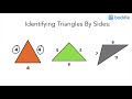 Types of Triangles and Their Properties