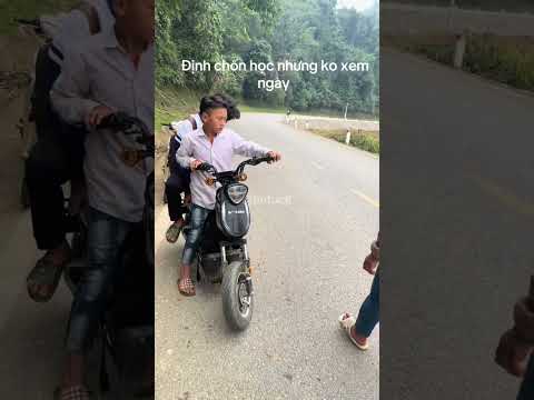 Định cúp học nhưng không xem ngày #funny #giaitri #vuive #haihuocvuinhon #memes