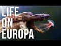 Exploring Europa's Ocean and Life