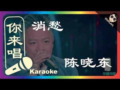 (你来唱) 消愁 陈晓东 歌手2018 伴奏／伴唱 Karaoke 4K video