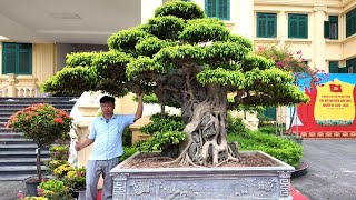 Bộ Đôi Sanh Nam Điền Này Kê Nhà Cổ, Nhà Gỗ Thì Rất Đẹp Quý Vị Ạ