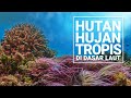 Kuis tentang Hutan Hujan Tropis dan Terumbu Karang