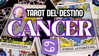 CANCER HOY ♋️ TU SOLEDAD TERMINA... COMIENZA UN NUEVO CICLO PARA TI ✨ | Tarot del Destino #cancer