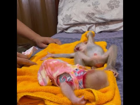Daddy wear diapers and clothes for Baby Monkey Bryyan and Icy