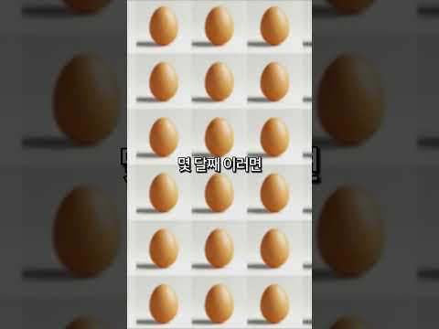 계란🥚