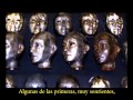 Understanding Automata