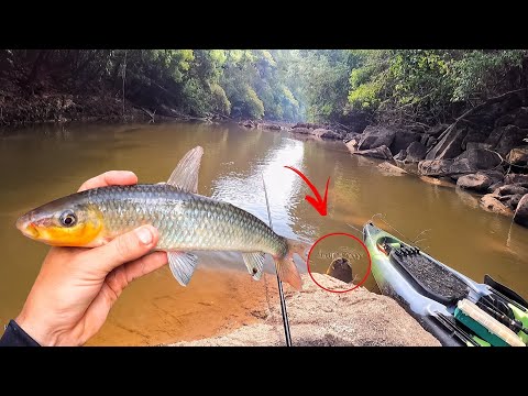 ERA PARA SER UMA SIMPLES PESCARIA CAIPIRA DE PIAU, MAS O PERIGO NOS CERCAVA POR TRÁS DAS PEDRAS...