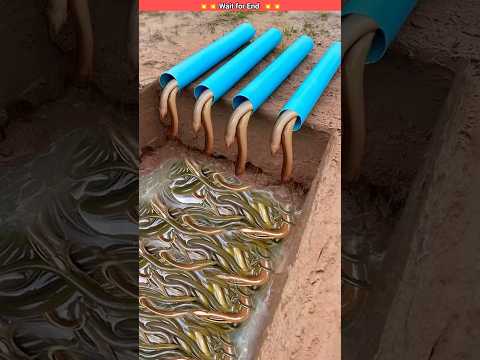 ये क्या मिल गया 😱 Survival skills: Simple but very useful with eel trap #survival #bushcraft #shorts