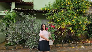 MESMO MORANDO NA CIDADE ELA POSSUI UMA LINDA COLEÇÃO DE PLANTAS ENCANTADORAS.