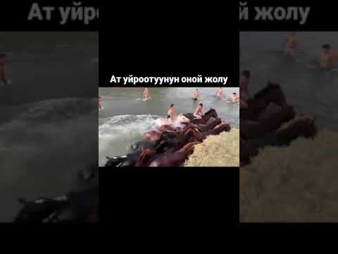 2 января 2025 г.