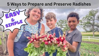 Harvesting Early Spring Radishes; Fermentation recipe, How to Prepare and Preserve Radishes