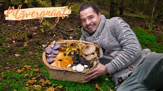 Pilziges SCHLARAFFENLAND im Herbst 2025 🤩 massenhaft Pfifferlinge, seltene Arten & neue Speisepilze!