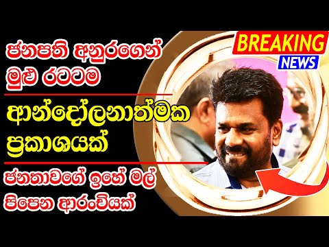 hiru news today 11 55 breaking news  | news sri lanka today sinhala | BREAKING NEW Today Sch