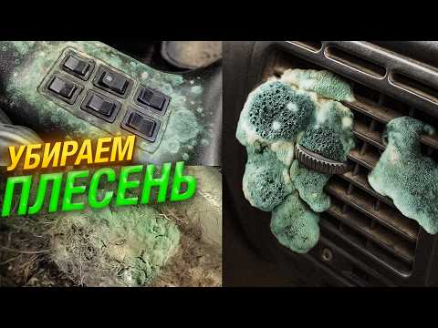 ⚠️ЧТО ДЕЛАТЬ если ЗАВЕЛАСЬ ПЛЕСЕНЬ🤢 в АВТОМОБИЛЕ? #ОТМЫЛИ