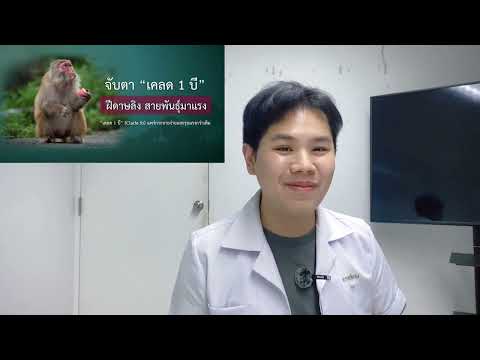 ฝีดาษลิงสายพันธุ์ใหม่ติดง่ายอันตรายกว่าที่คิดจริงหรือไม่