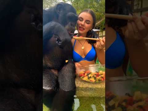 🐒 Animals Acting Like Humans 😂... #bablujoksy #shorts #funnyanimals #funny