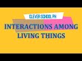 Ecology Concepts and Interactions