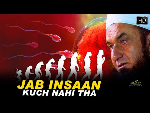 Jab Insaan Kuch Bhi Na Tha | Maulana Tariq Jameel | Relaxing Bayan | Sleeping | Light To Humanity