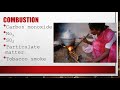 Indoor Air Quality and Pollution