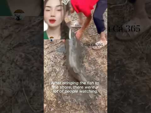 Cá Lạ Vào Vườn Rau #fishing #amazing #cauca365 #short