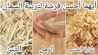فرشة السمان: أيهما أفضل؟ نشارة الخشب أم التبن أم الرمل؟ 🐥📌 الحقيقة الكاملة!