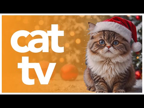 Cat TV: 🌈 EXCITING Video for Cats to Watch - Festive Cat Music and TV for Cats 🐱