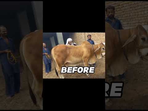 before And After ❤️