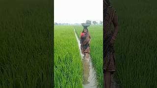 कितना ऊपर उठाऊ #youtubeshorts #shortvideo #comedy
