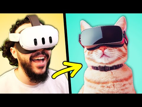 JE SUIS UN CHAT EN VR (I Am Cat VR)