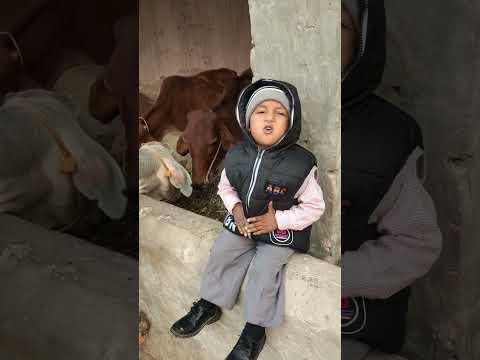 kalma tayyab @ASshorts266