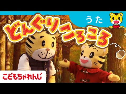 どんぐりころころ｜1・2歳向け〈こどもちゃれんじぷち〉｜【しまじろうチャンネル公式】