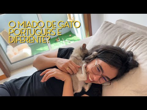 VLOG: Gatinho PORTUGUES temporário! Preparando a casa 🥹❤️