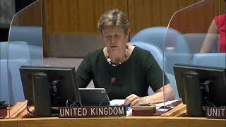 The situation in Afghanistan - Security Council, 8831st Meeting - United Kingdom Representative