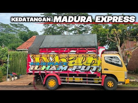 KEDATANGAN MADURA EXPRESS - Mr.Black Muatan Cabe Nekat Ngengkel