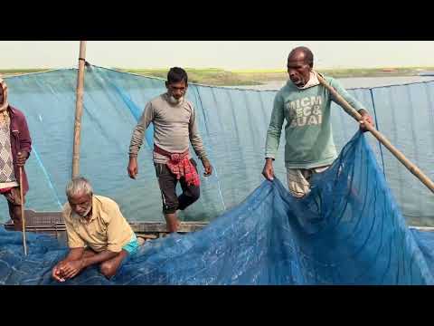 A lot of tasty fish caught by fishermen