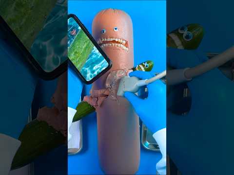 Worlds Biggest Bologna has Satisfying Procedure. #DiscountDentist #Satisfying #ASMR #OddlySatisfying