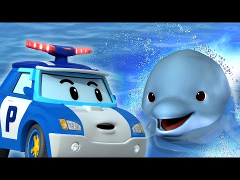 My Animal Friends│POLI 2 Hour Compilation│Protect the Dolphins│Safety Episodes│Robocar POLI TV