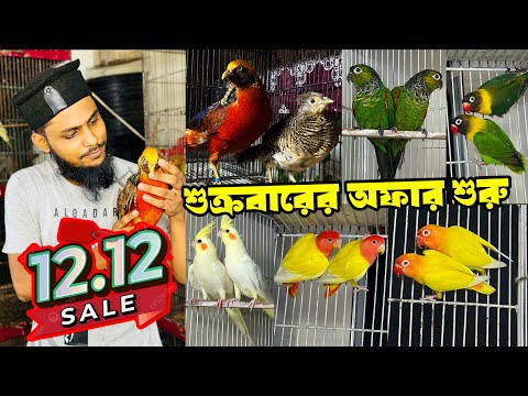 জমজমাট পাখির সেটাপ | পানির দামে পাখি | টিয়া পাখির দাম কত? | ময়না পাখি কথা বলে | যে অফার কেউ দিবেনা।