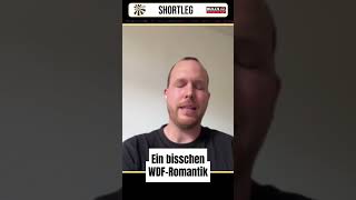 Darum lieber WDF spielen #darts #shorts #shortleg