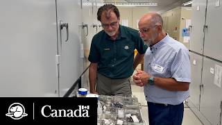 More Than Meets the Eye | Climate Crew | Parks Canada
