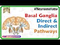 Basal Ganglia Pathways and Movement